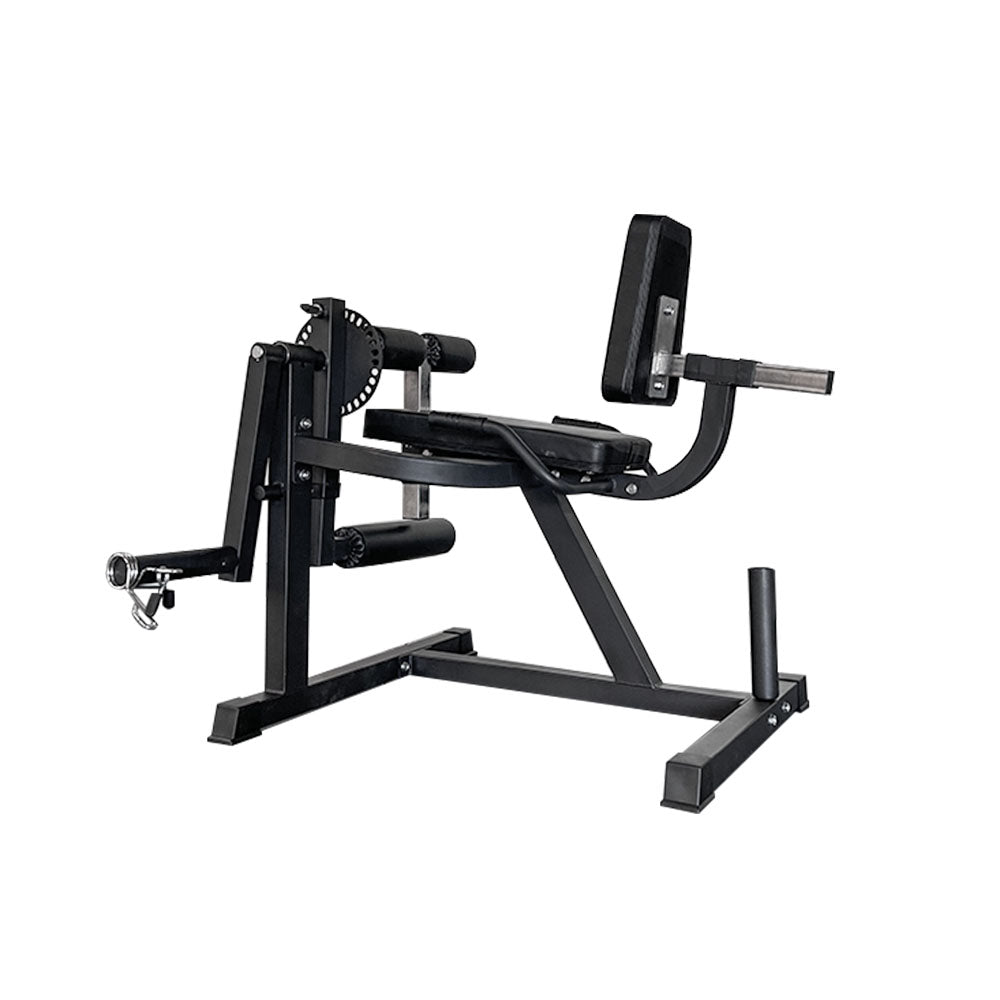 Seated Leg Extension & Leg Curl Machine CL-23