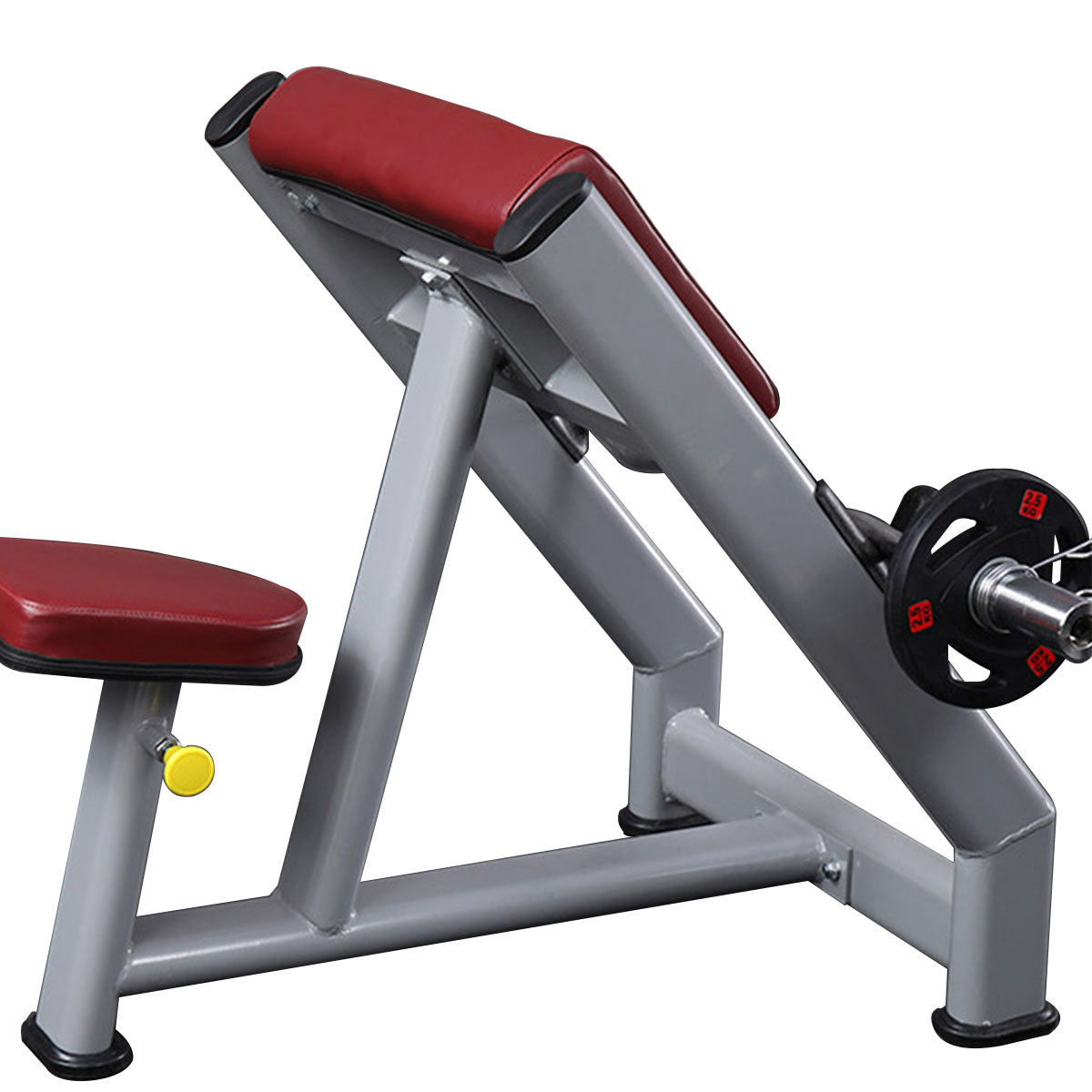 Commercial preacher curl discount bench